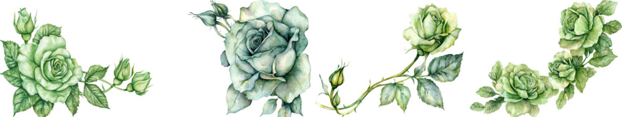 Floral Corner Frame of Green Rose Flowers Decorative Botanical Floral Border with Blooming Roses and Leaves  Elegant Vintage Organic Flourishing Nature Background Design
