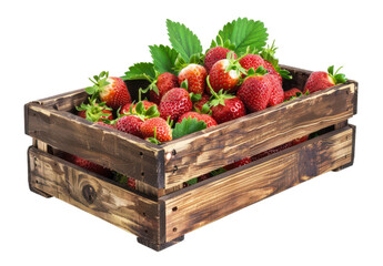 Box of Juicy Strawberries with Green Leaves, Isolated on White