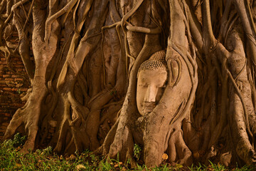 Night Scene of Tourist Attraction, Head of Buddha Statue .
