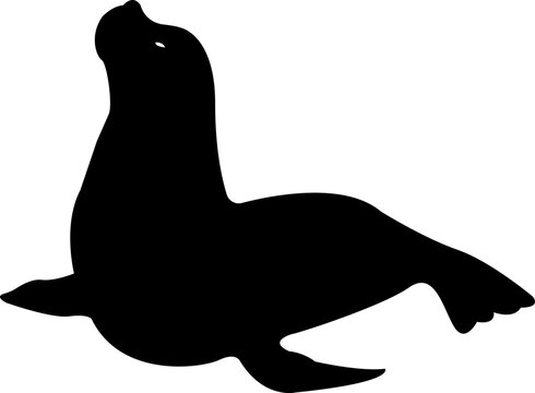 recommend clip art: Sealion animal mascot silhouettes icon. Sea lion black vector flat isolated on transparent background, clipart image painting design art Graphic drawing minimalist contour.