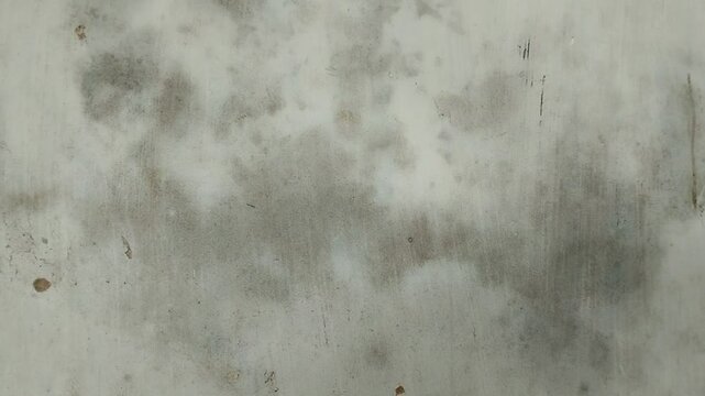 Black mold growing on the walls of the house, this is caused by damp walls