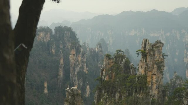A scenic shot of Zhangjiajie&rsquo;s famous rock formations framed by nearby tree trunks, showcasing the dramatic peaks and lush greenery of this iconic Chinese landscape