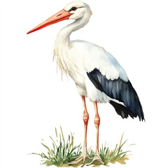 cute Stork watercolor clipart illustration isolated