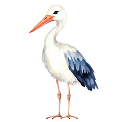 cute Stork watercolor clipart illustration isolated