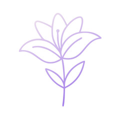 Obraz premium Minimalist Purple Lily Flower Outline Illustration