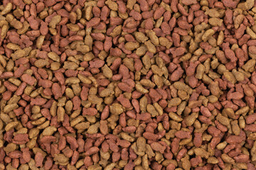 dry pet food background texture. close up. top view