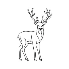 A drawing of a line art deer with antlers on it