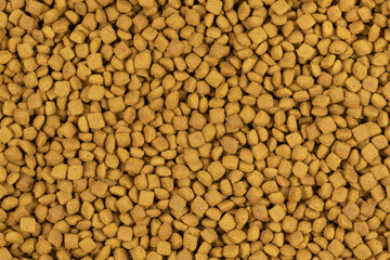 dry pet food background texture. close up. top view
