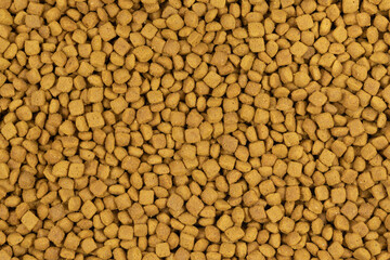 dry pet food background texture. close up. top view