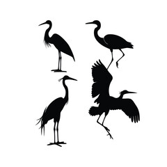 a group of bird flying and standing pose vector silhouette