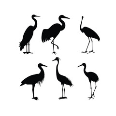 a group of bird flying and standing pose vector silhouette