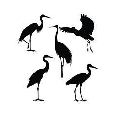 Obraz premium a group of bird flying and standing pose vector silhouette