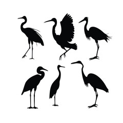 Fototapeta premium a group of bird flying and standing pose vector silhouette