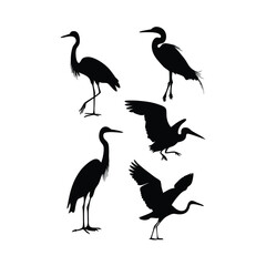 a group of bird flying and standing pose vector silhouette