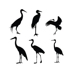 a group of bird flying and standing pose vector silhouette