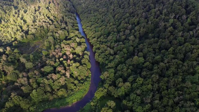 Aerial footage of Allegheny River flowing through a green dense forest in Pennsylvania, USA