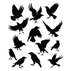 Obraz premium a set of flying bird vector silhouette isolated white background