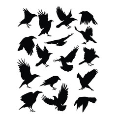 Obraz premium a set of flying bird vector silhouette isolated white background