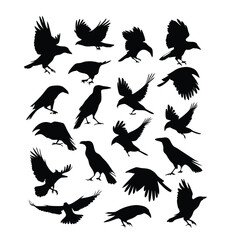 Obraz premium a set of flying bird vector silhouette isolated white background