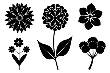 6 vector silhouette icon set of Sweet William, Candytuft, Lotus, Borage, Bachelor’s Button, Cyclamen