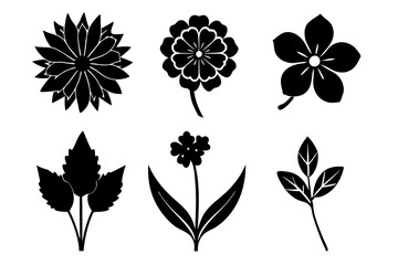 6 vector silhouette icon set of Sweet William, Candytuft, Lotus, Borage, Bachelor’s Button, Cyclamen