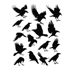 Obraz premium a set of flying bird vector silhouette isolated white background