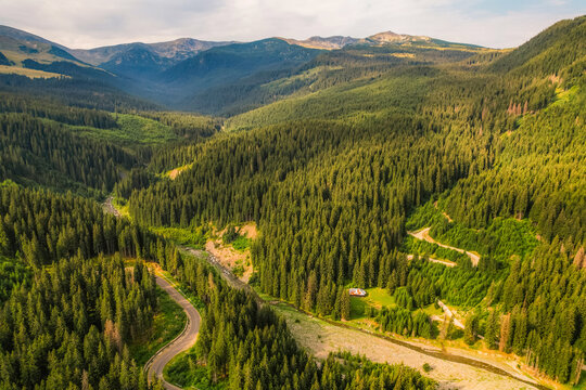 Aerial view of  Transalpina road with many serpentines crossing forest in  Carpathian mountains. Aerial mountains forest trees with road.