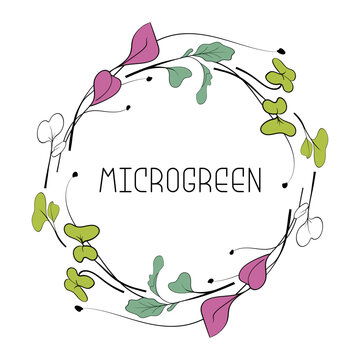 Microgreen leaves and sprouts in circular frame with text in center. Botanical illustration in line art style.