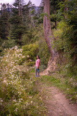 Fototapeta premium Young Indian Female hiker enjoying the breathtaking Himalayan mountains and alpine forests landscape during trekking 
