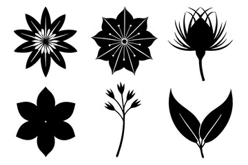 6 vector silhouette icon set of Love in a Mist, Spider Lily, Goldenrod, Hellebore, Periwinkle