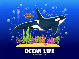 Ocean life banner with killer whale and underwater landscape, with diverse marine life and oceanic environment. Cartoon vector oceanic scene with orca, sea turtle, jellyfish, coral and tropical fish