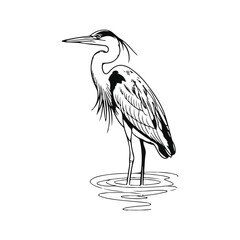 Black Heron bird silhouette hand drawing line art vector
