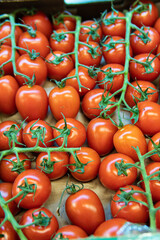 red agriculture food vegetable nature fresh organic tomato vegetarian raw produce juicy market