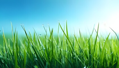 Dew-laden grass, vivid close-up, morning light, outdoor setting, 3D illustration.