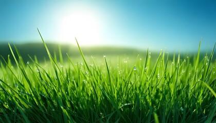 Obraz premium Dew-laden grass, vivid close-up, morning light, outdoor setting, 3D illustration.