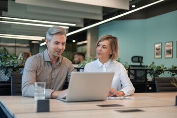 Two business people using laptop on desk discussing strategy company with other employees on background