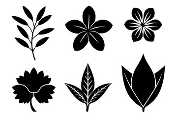 6 vector silhouette icon set of Mimosa, Saffron Crocus, Vinca, Plumeria, Gaillardia, Coreopsis