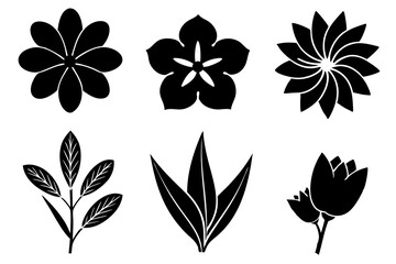 6 vector silhouette icon set of Mimosa, Saffron Crocus, Vinca, Plumeria, Gaillardia, Coreopsis