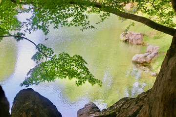 栗林公園・青モミジ（香川県・高松市）