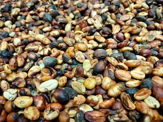 
Pile of raw, unprocessed coffee beans, showing varied colors and textures