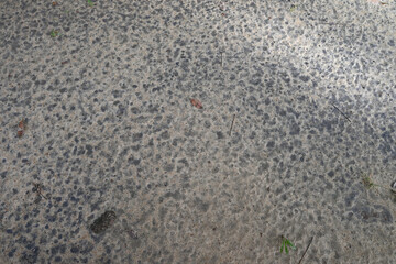 A sandy ground that has a unique texture design due to the rain drops that fell down