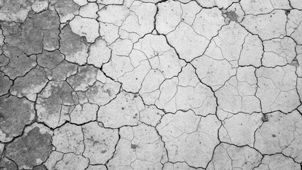 Fototapeta premium A close-up photograph of dry cracked earth, showcasing the intricate network of fissures and the stark, monochrome palette, revealing the harshness of drought