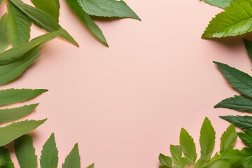Fototapeta premium Background, flower wallpaper, leaves, used for decorating paper, websites, Valentine's Day, various festivals, empty space for copying text.