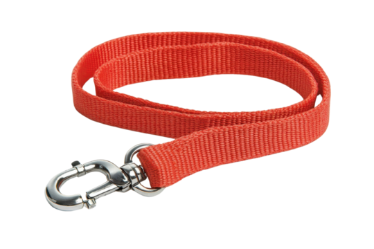 Red dog leash with metal clip on white isolated background