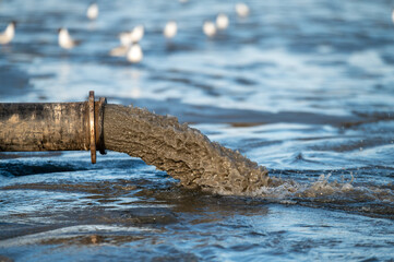 Beach restoration using a sand transfer system