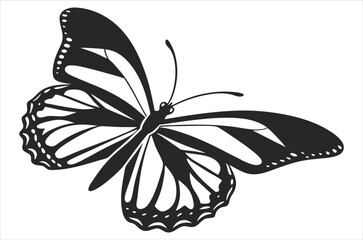 butterfly silhouette. butterfly vector illustration isolated on white background. beautiful and attractive butterfly logo. butterfly silhouette