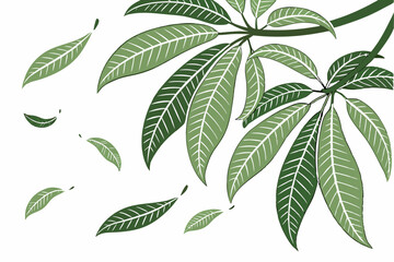 Colorful Autumn Leaves Falling Vector Illustration on White Background, leaves of a mango.