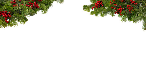 Christmas tree border and red holly berries decoration isolated on white transparent, Xmas festive...