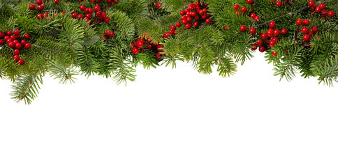 Christmas tree border and red holly berries decoration isolated on white transparent, Xmas festive garland © Rawf8
