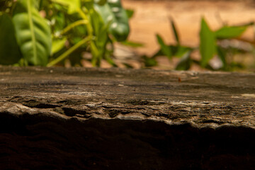 wooden bench in autumn stock image